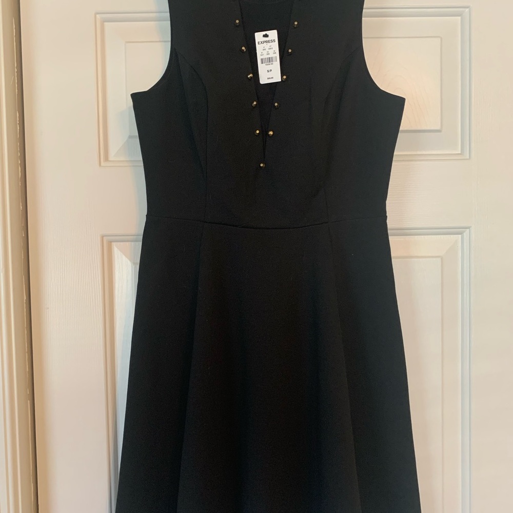 BNWT WOMENS EXPRESS SKATER DRESS